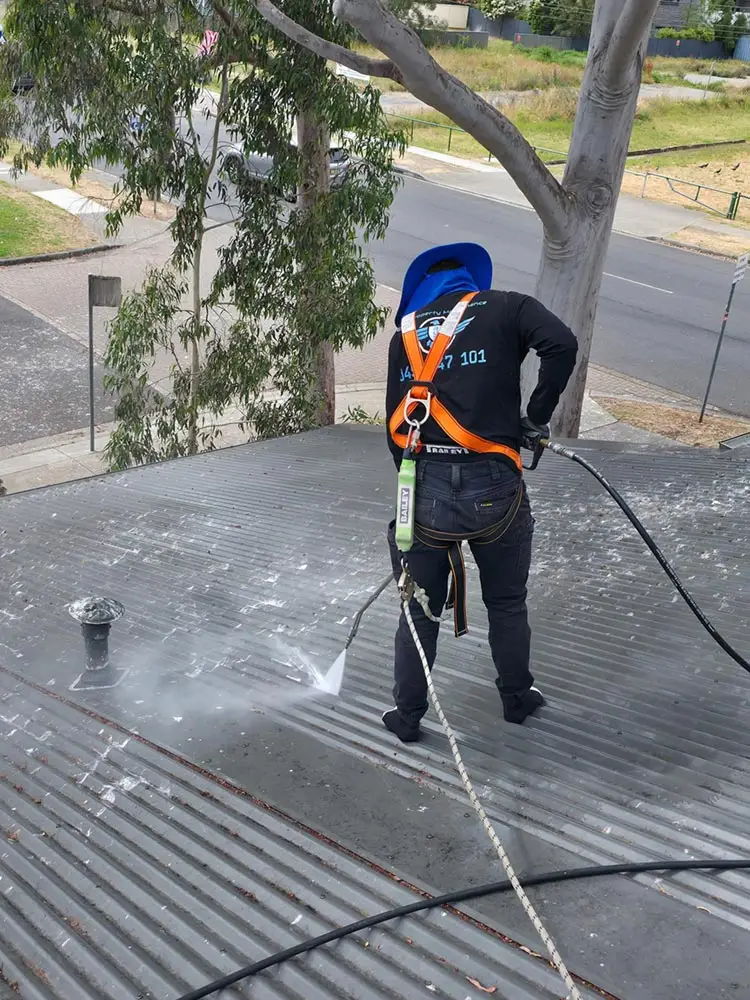 Roof Cleaning