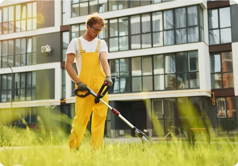 The Role of Professional Lawn Care in Commercial Property Value
